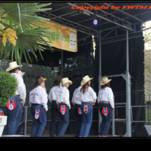 Freiburger Frühlingsfest South-West Line Dancers
